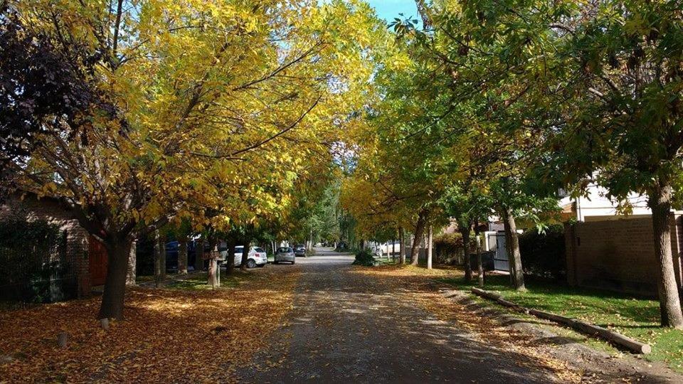 Departamento SV - Housity