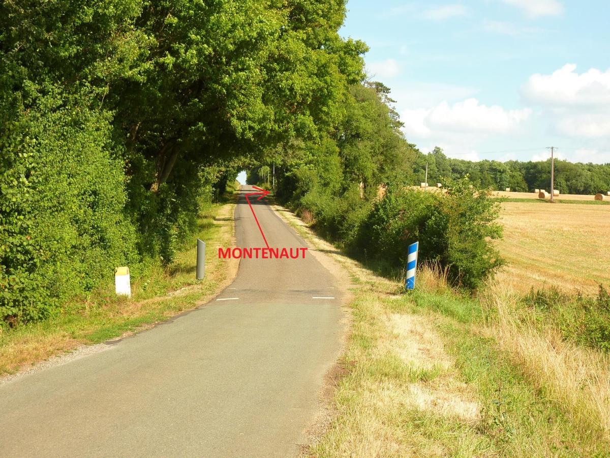 Montenaut - Housity
