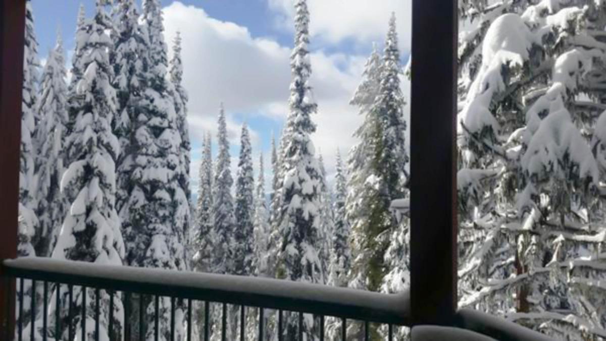 Vacation Homes by The Bulldog- Berker's Suite A - Housity