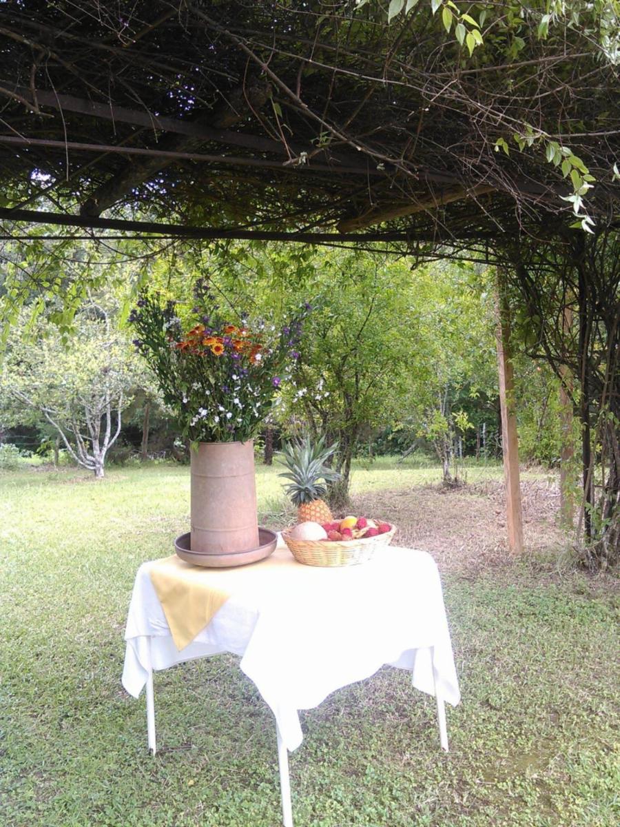 Casa De Campo Tipo California - Housity