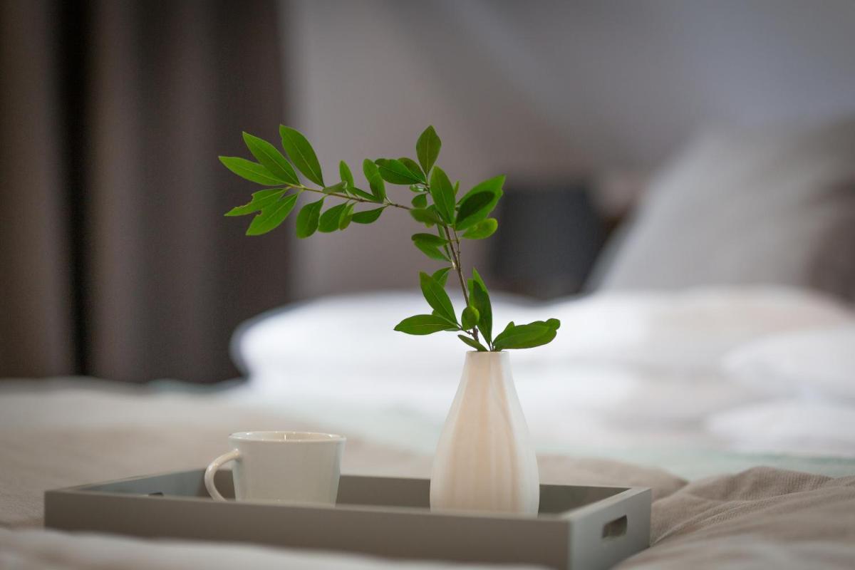 Stacja Zakopane - Apartamenty w centrum - Housity
