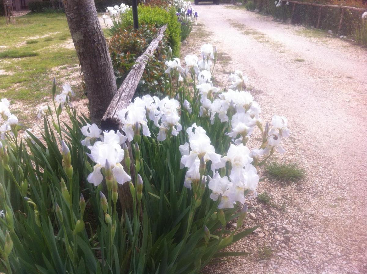 Agriturismo le madonnelle - Housity