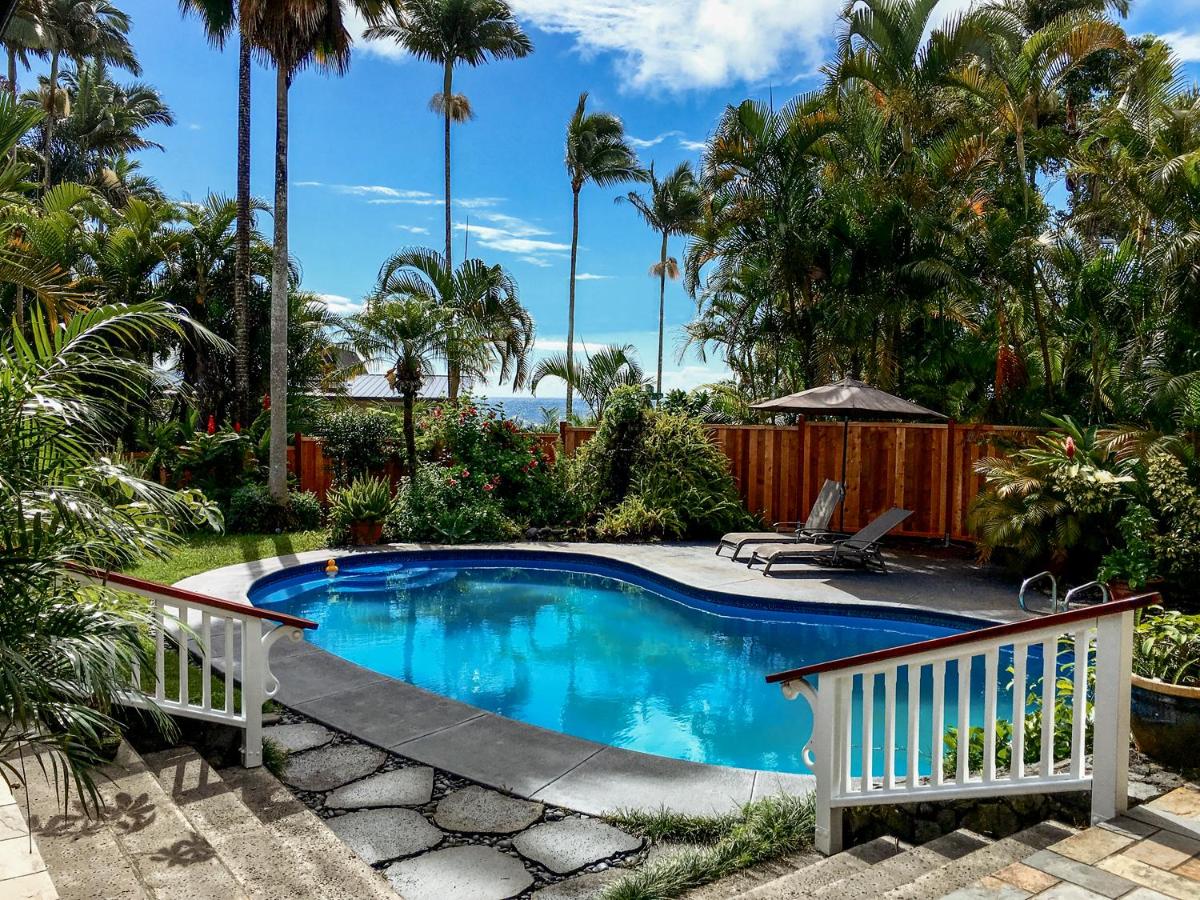 Orchid Tree B&B - Housity