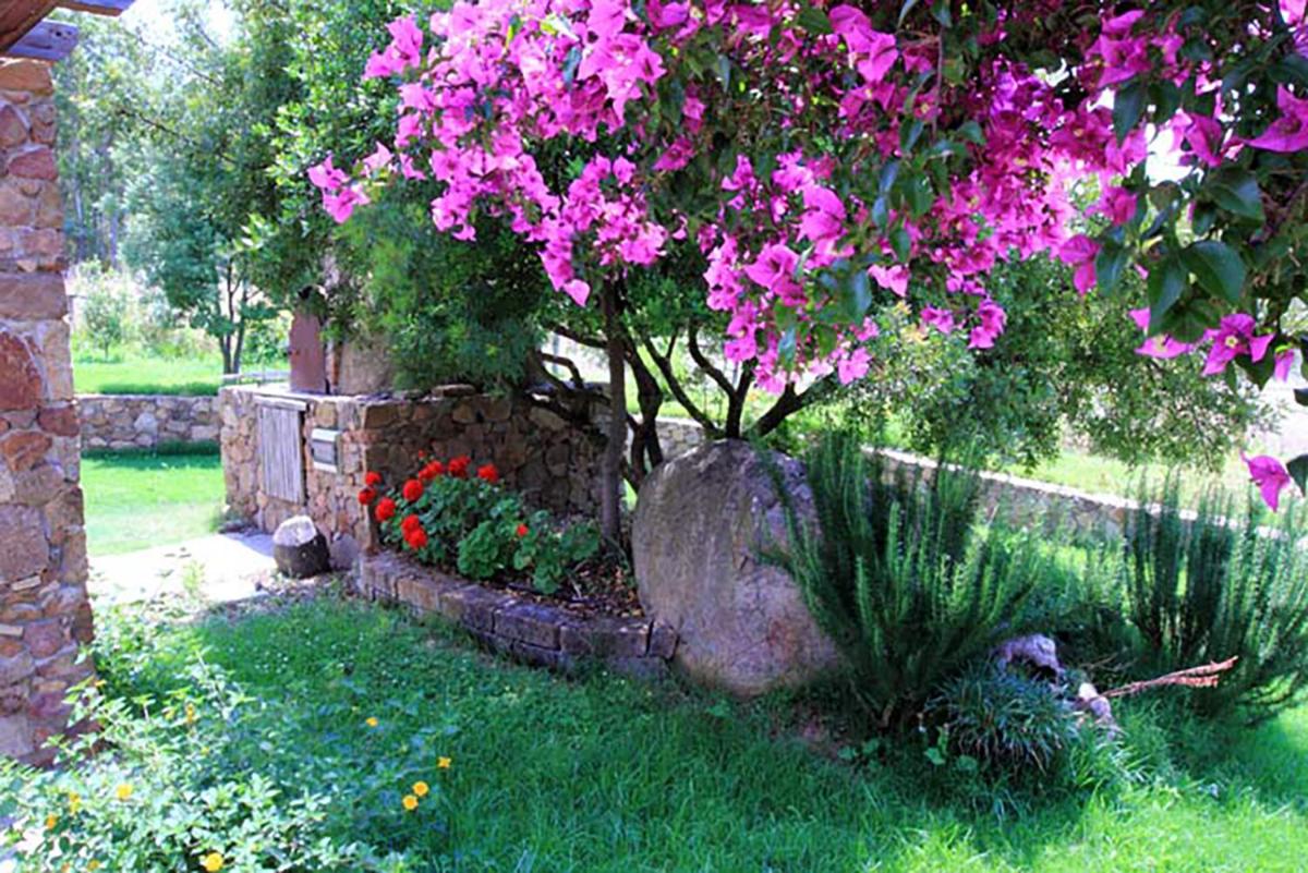 House Suestellas - Housity