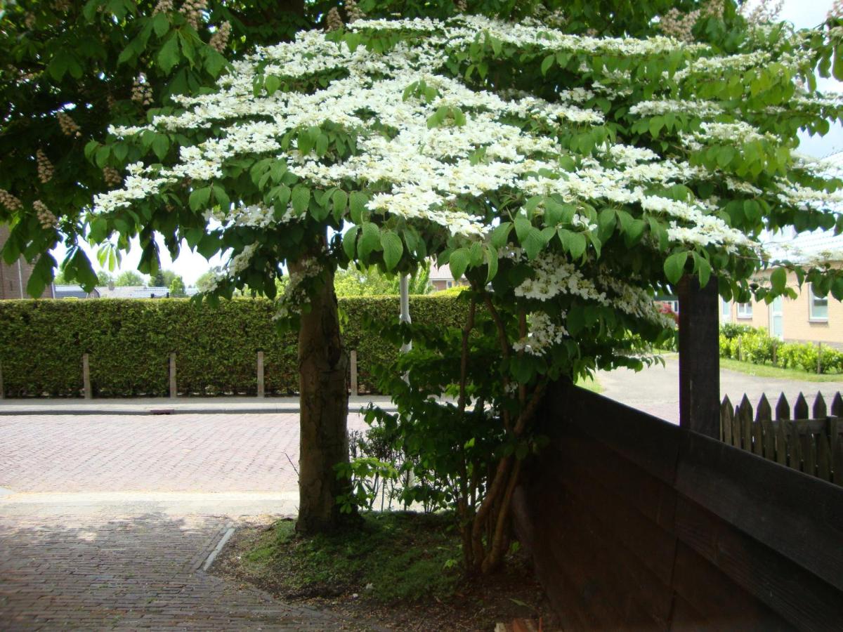 Logement-B&B Safier - Housity