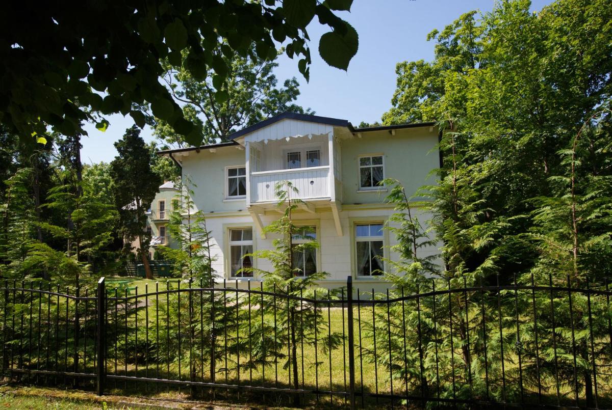 Wille Amber - Housity