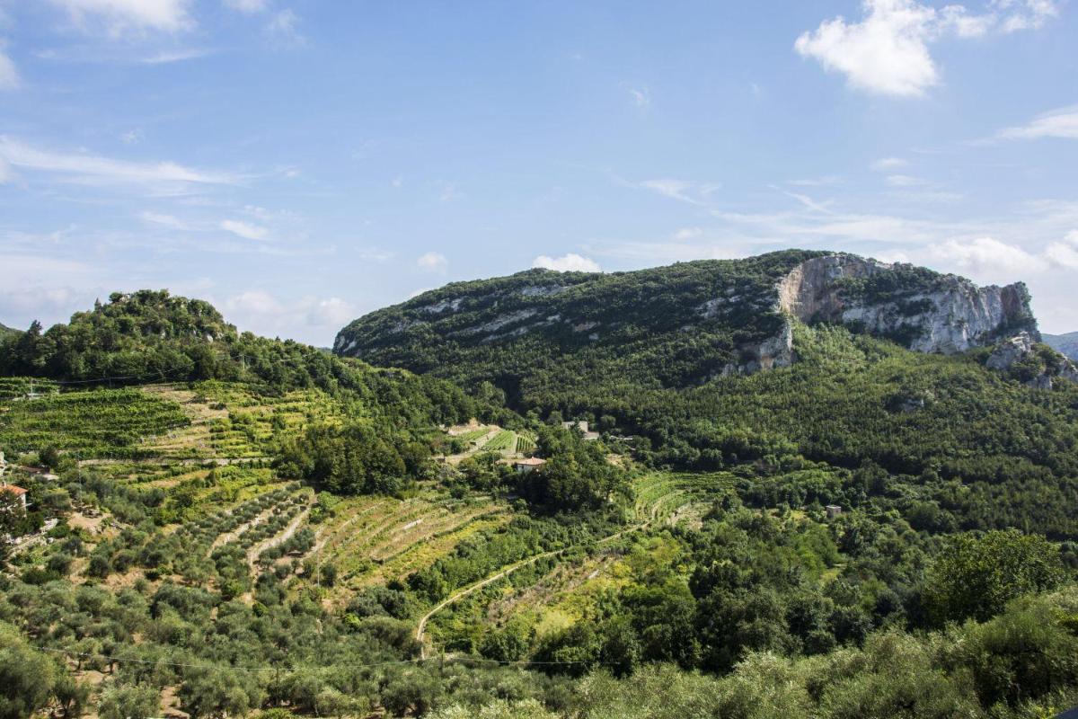 Apartment Sotto Il Santo - Housity