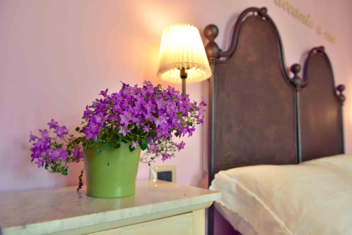 Casale905 - Housity