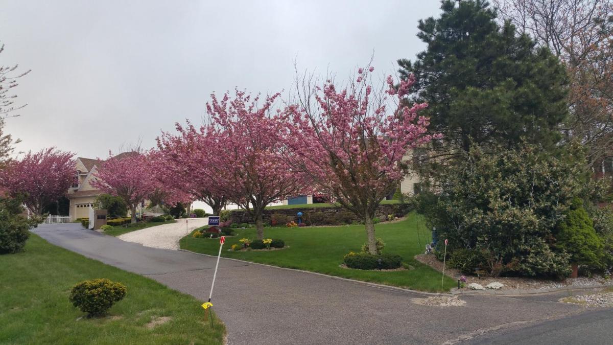 Inn 38 Oak Bluff Circle - Housity