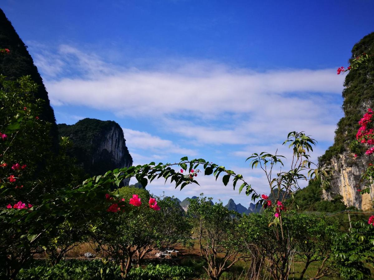 Pure Joy Resort - Housity