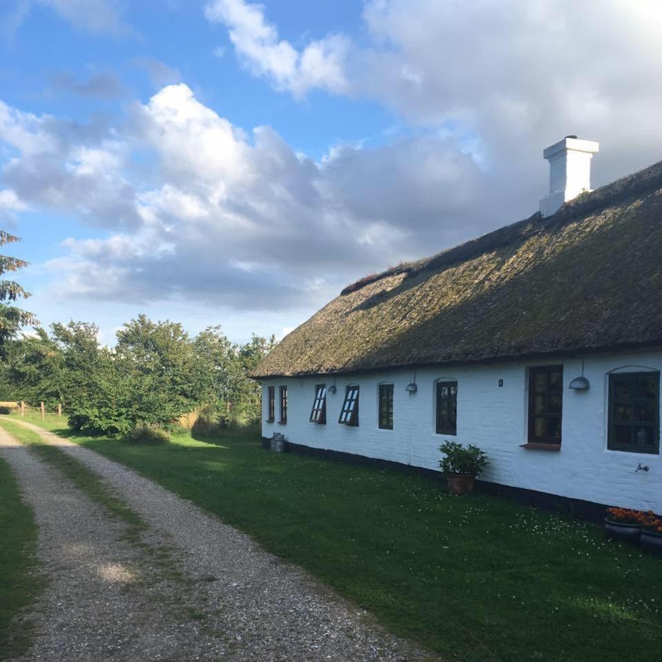 Øster Mogensbæk #4 - Housity