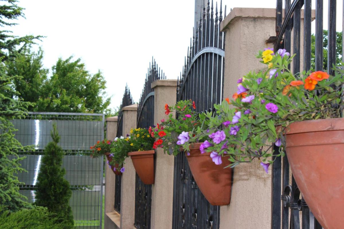 Guest House in Eforie Sud - Housity