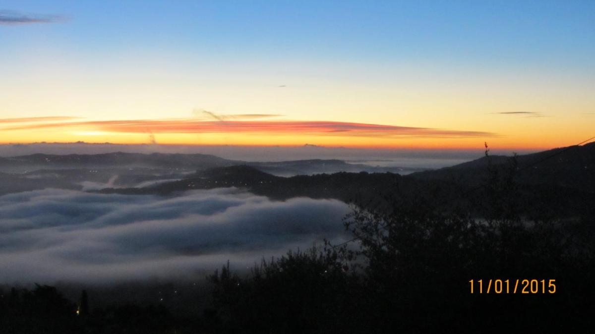 villa des oliviers - Housity