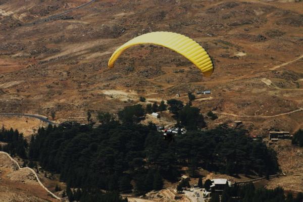Cedars Palace - Housity