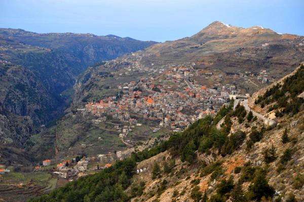 Cedars Palace - Housity