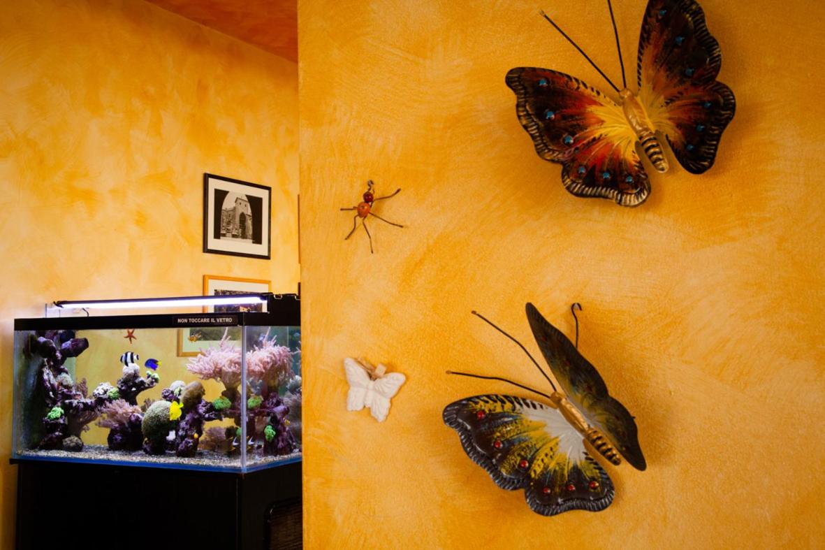 Hotel STELLA D'ORO - Housity