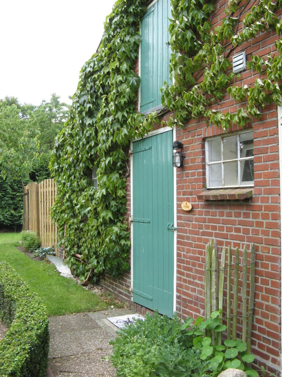 't Zwaluwennest - Housity