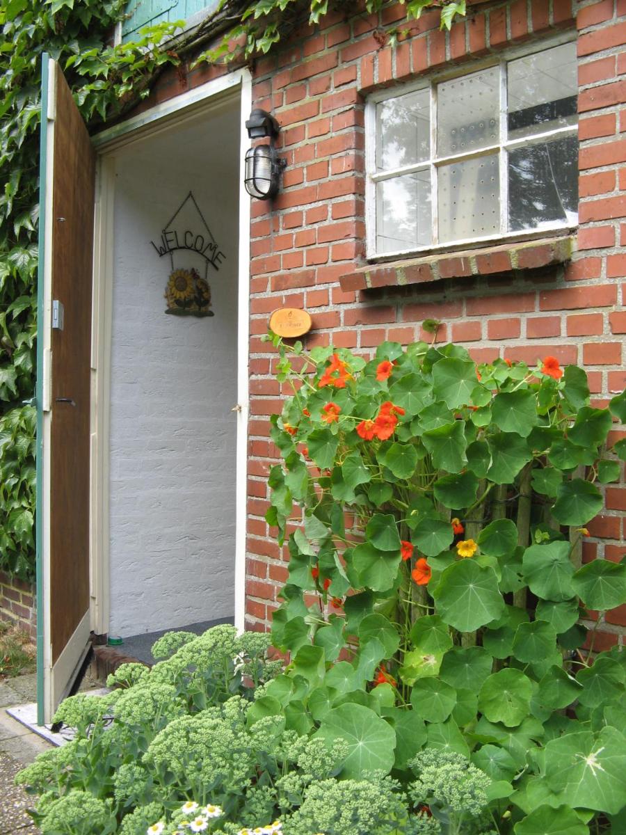 't Zwaluwennest - Housity