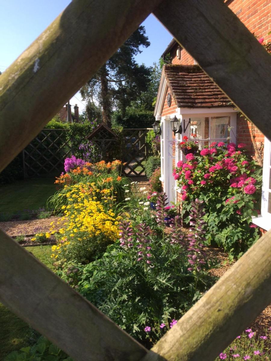 Vine Cottage - Housity