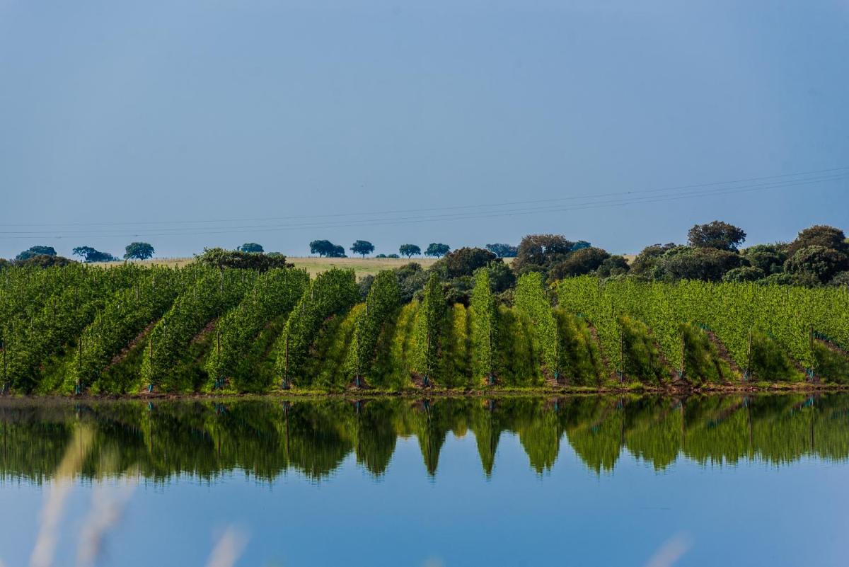 Paisagem natural perto do hotel