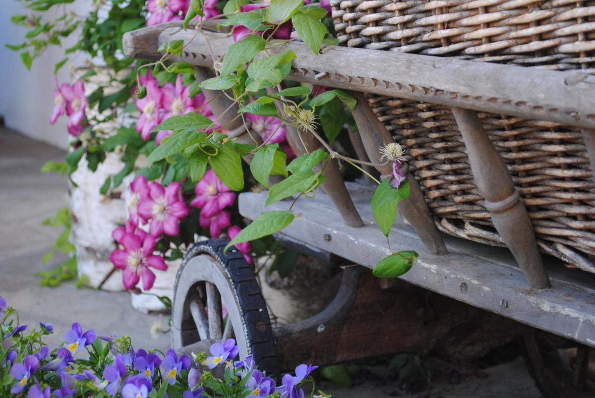 Pension Alpengruss - Housity