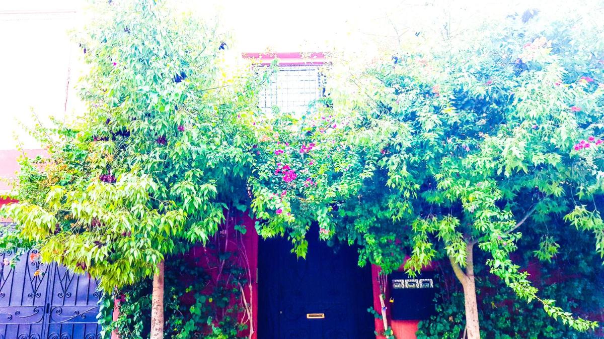 Villa Annakhil - Housity