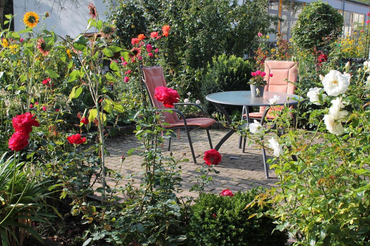 No. 73 - Idylle im Rebenmeer - Housity
