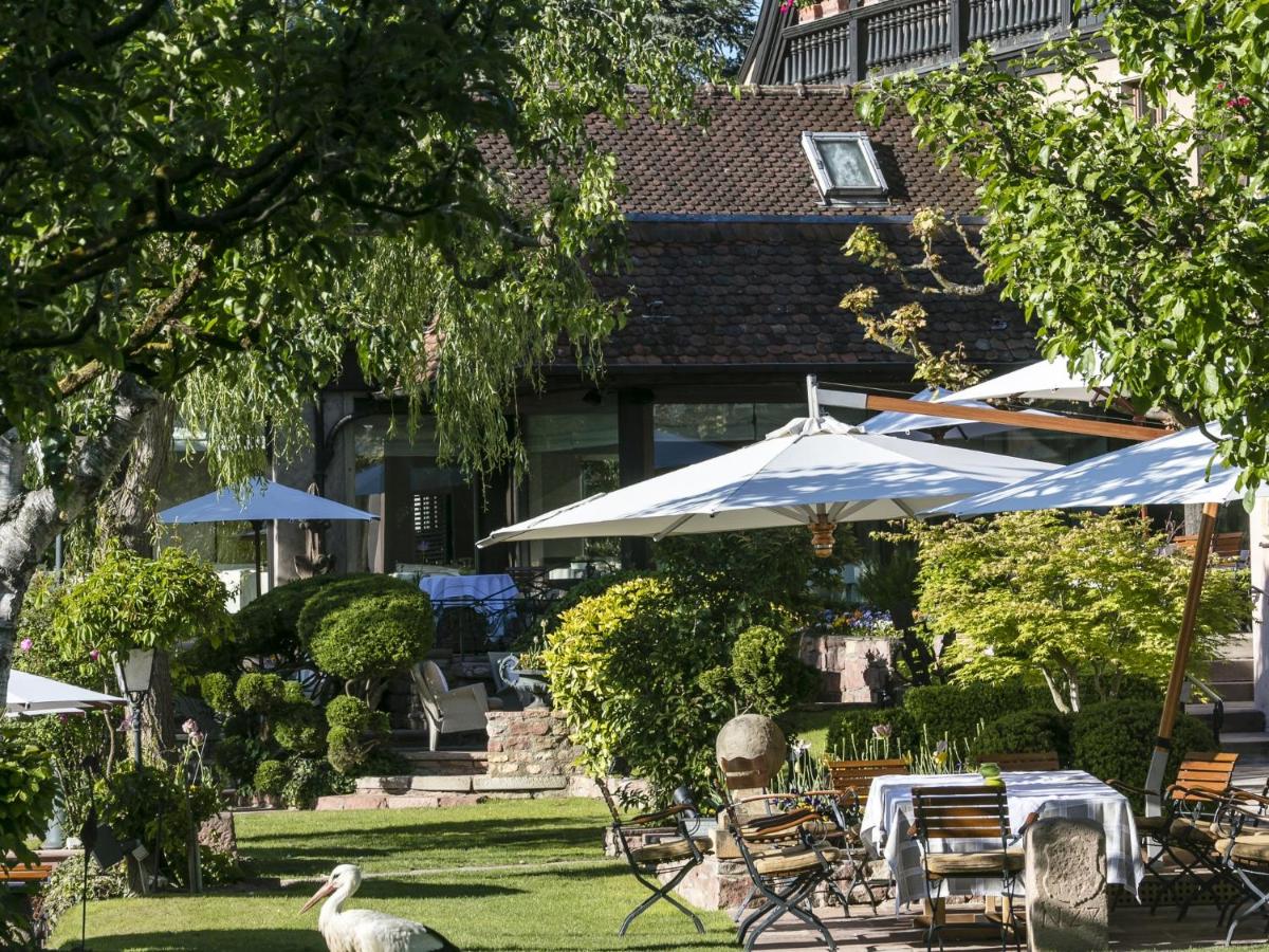 Jardin de l'établissement Hotel des Berges, Restaurant Gastronomique & Spa