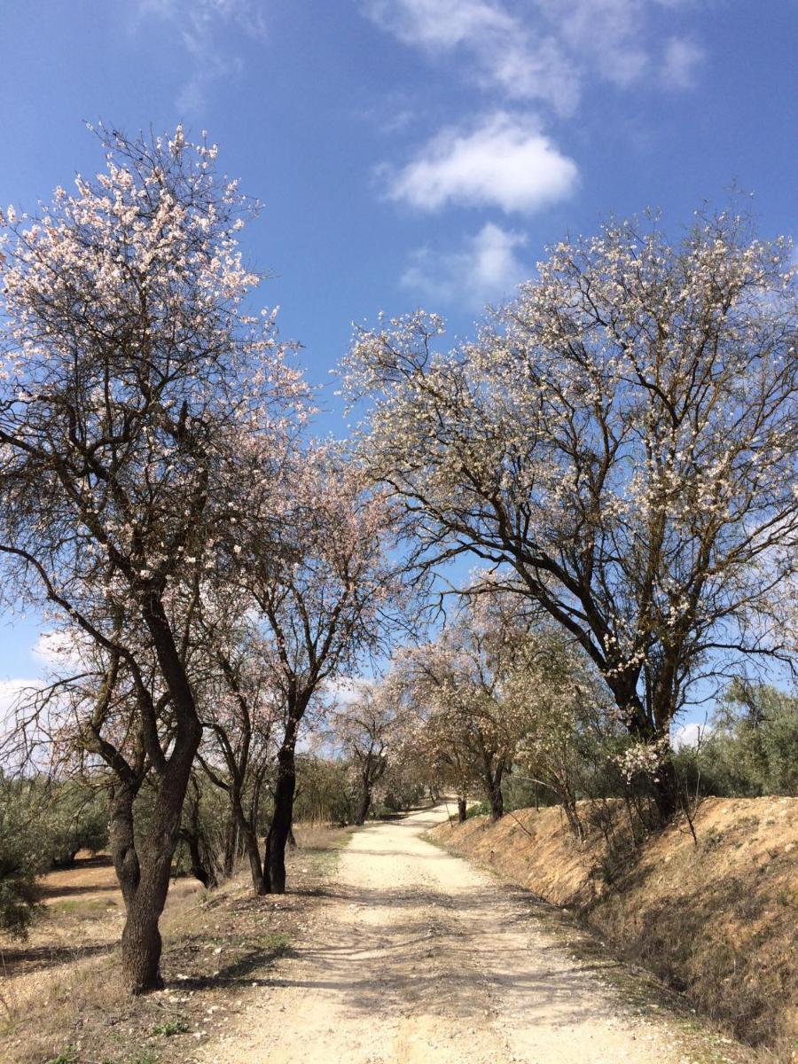 Cortijo Ribero - Housity