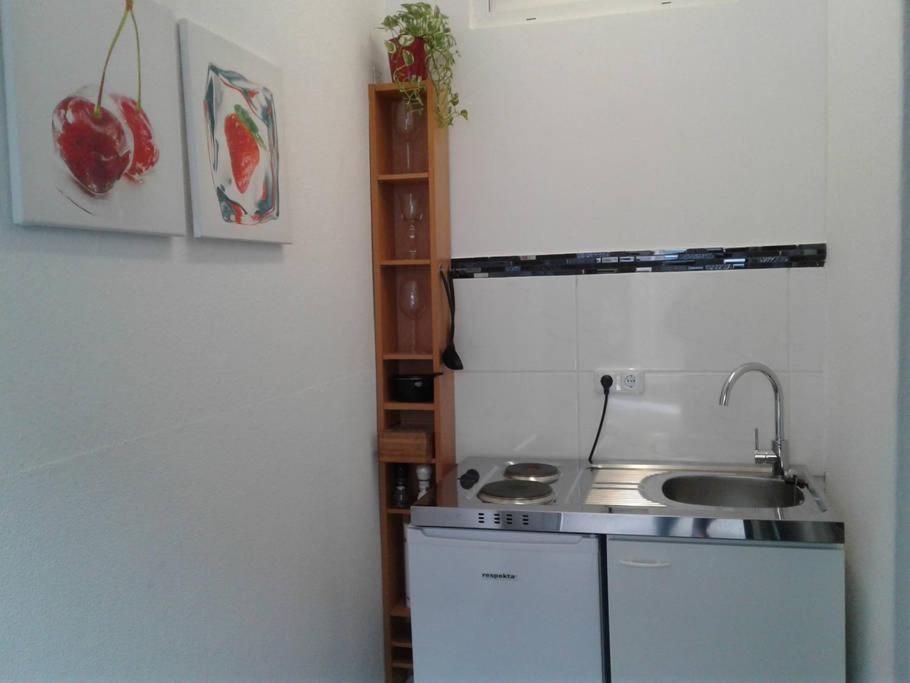 Apartment AP 1 im Zentrum Steyr, BESTROOMS eU - Housity