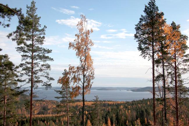 Riihivuori Cottages - Housity