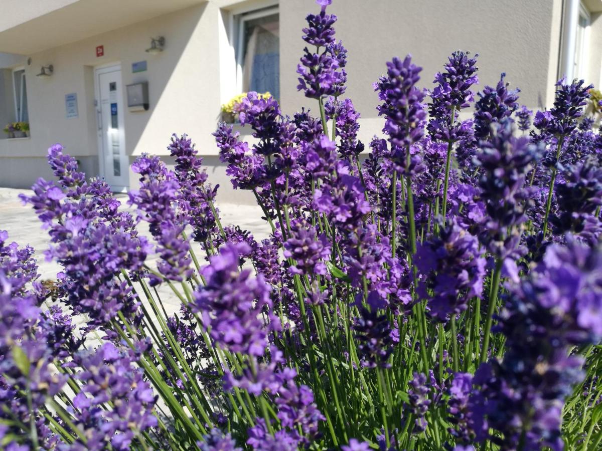 Mondina Guest House - Housity