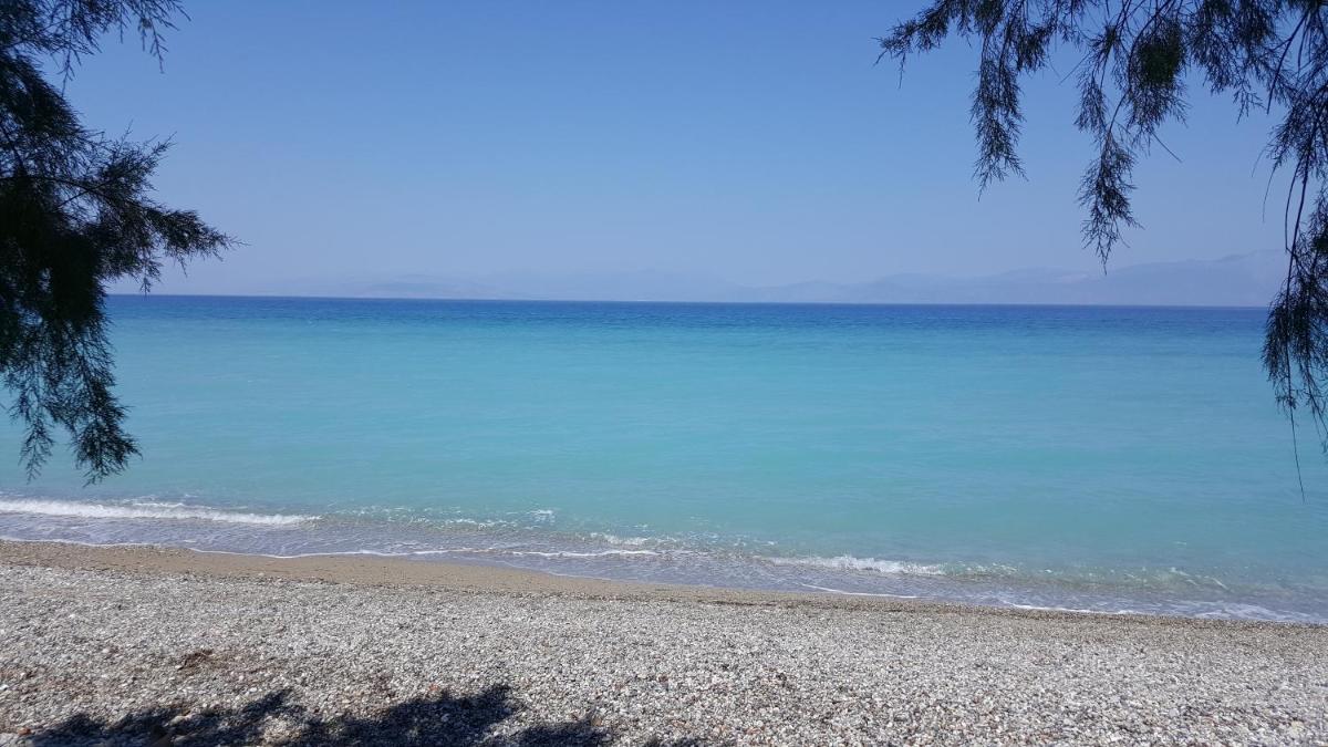Villa Bianca - Housity