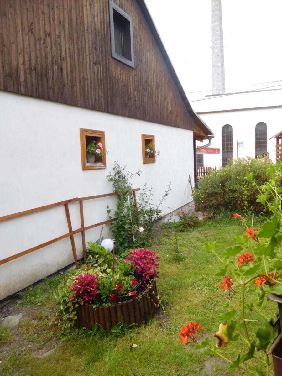 Apartmán u Marušky - Housity