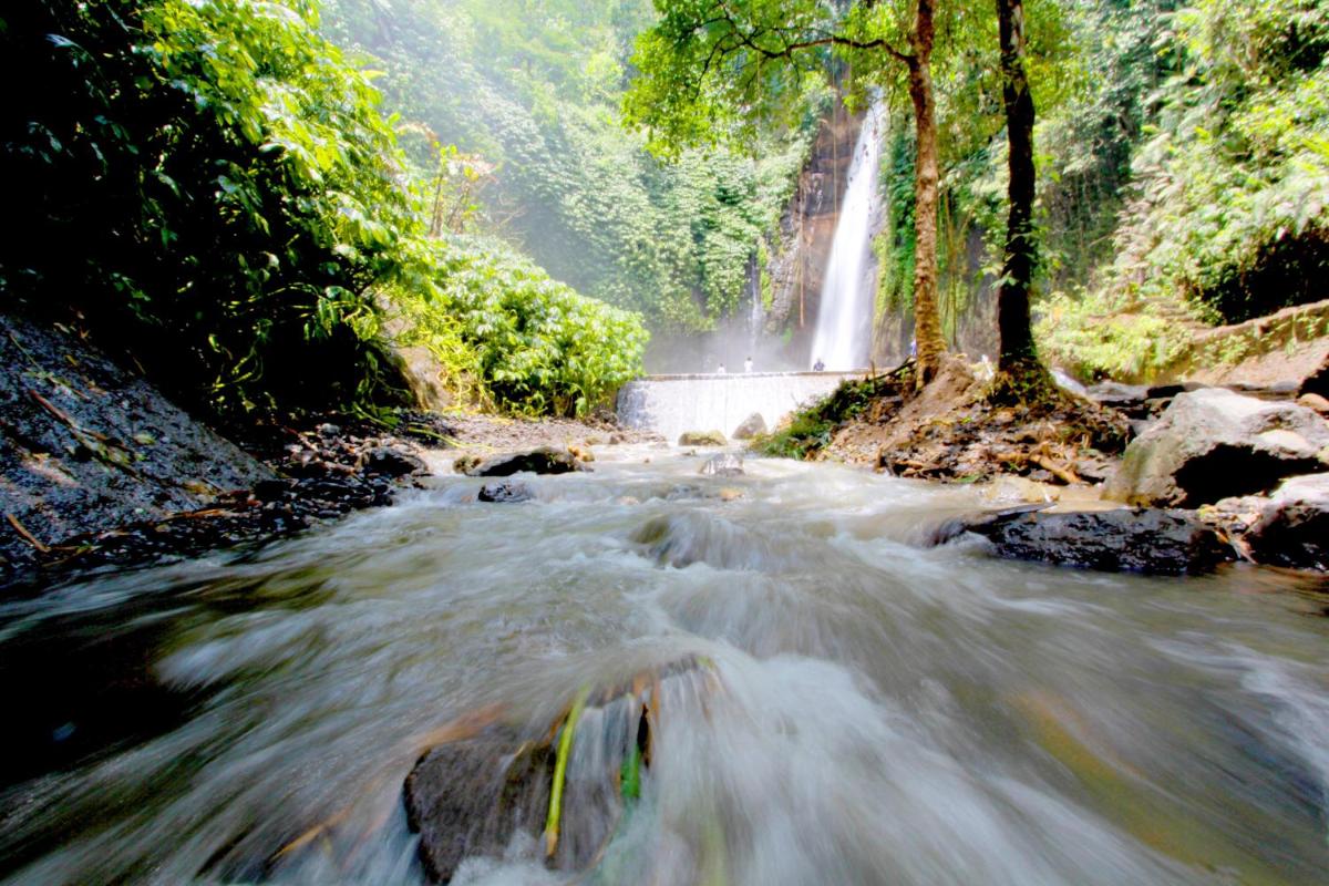 Bali Bening - Housity