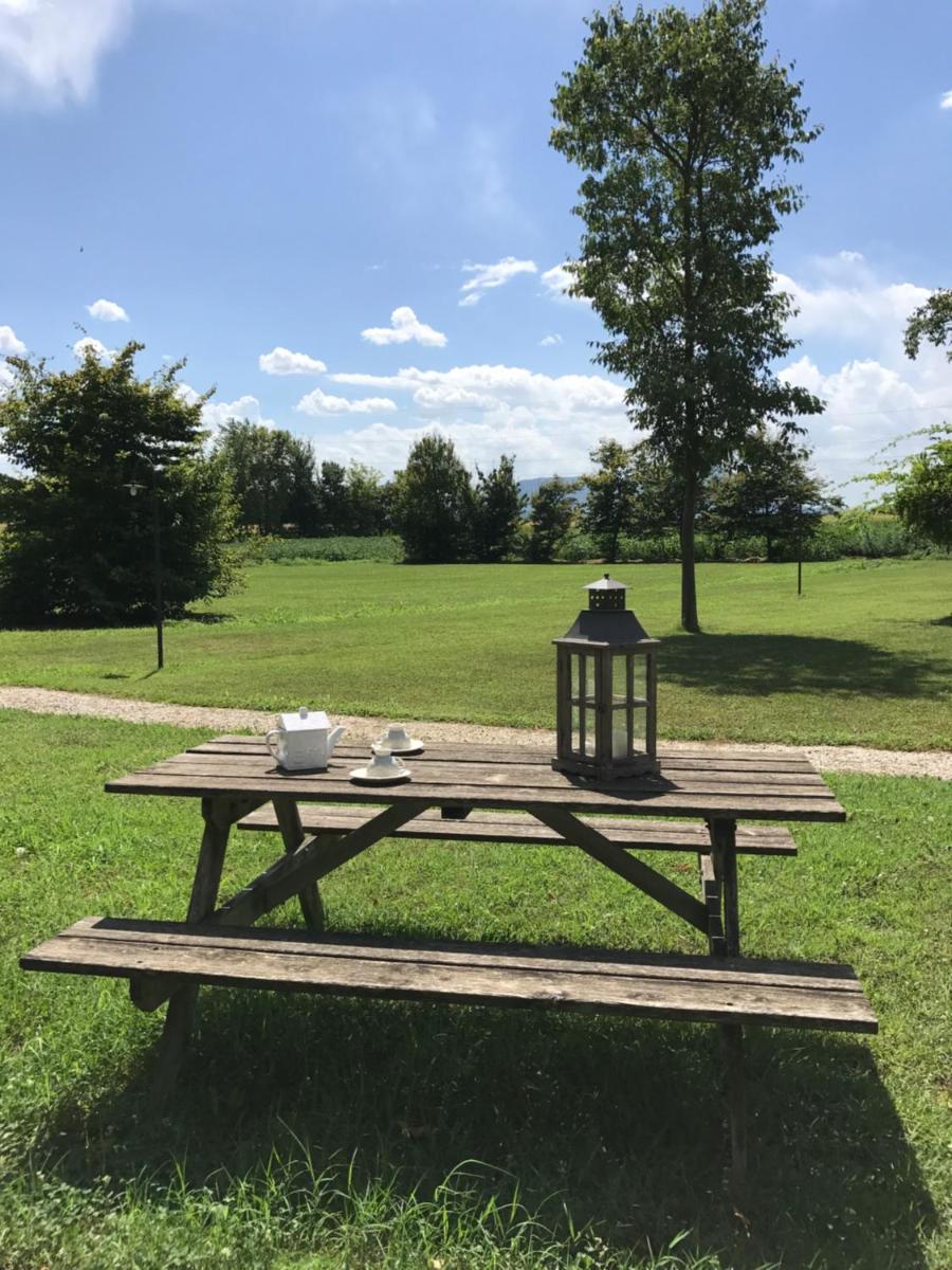 Agriturismo La Sophora - Housity