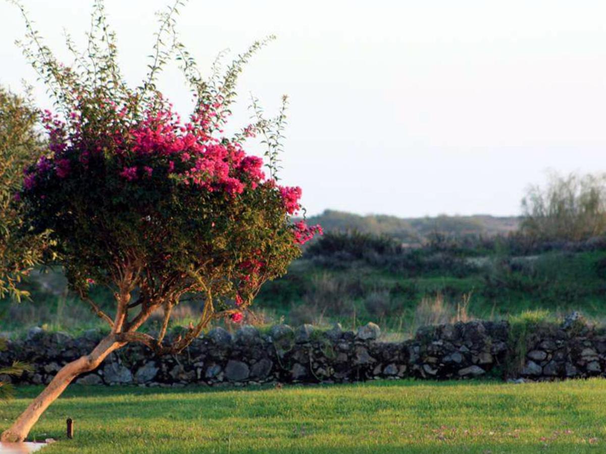 Um jardim no exterior de Golden Club Cabanas