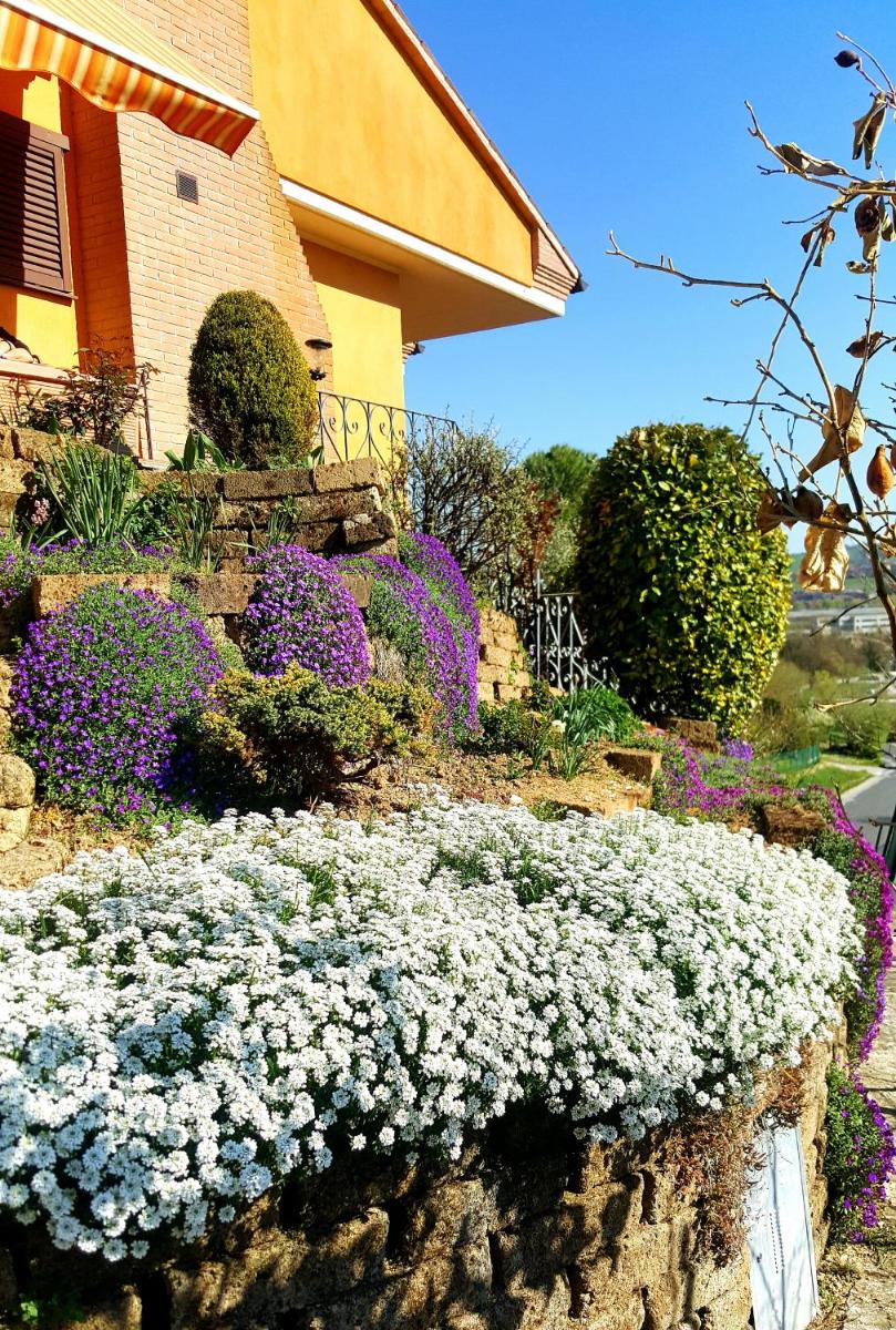 La Mammola Bed&Breakfast - Housity