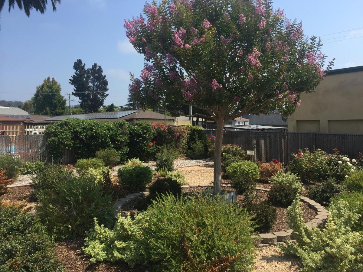 Hitching Post Studios Inn - Housity