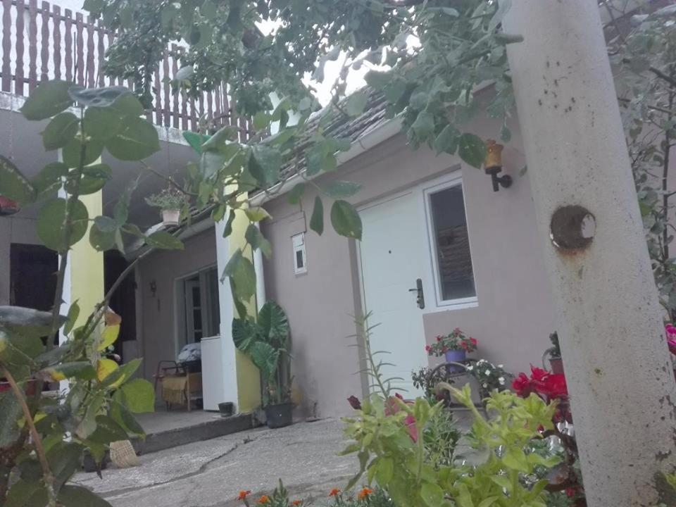 Apartman Andjela 1 - Housity