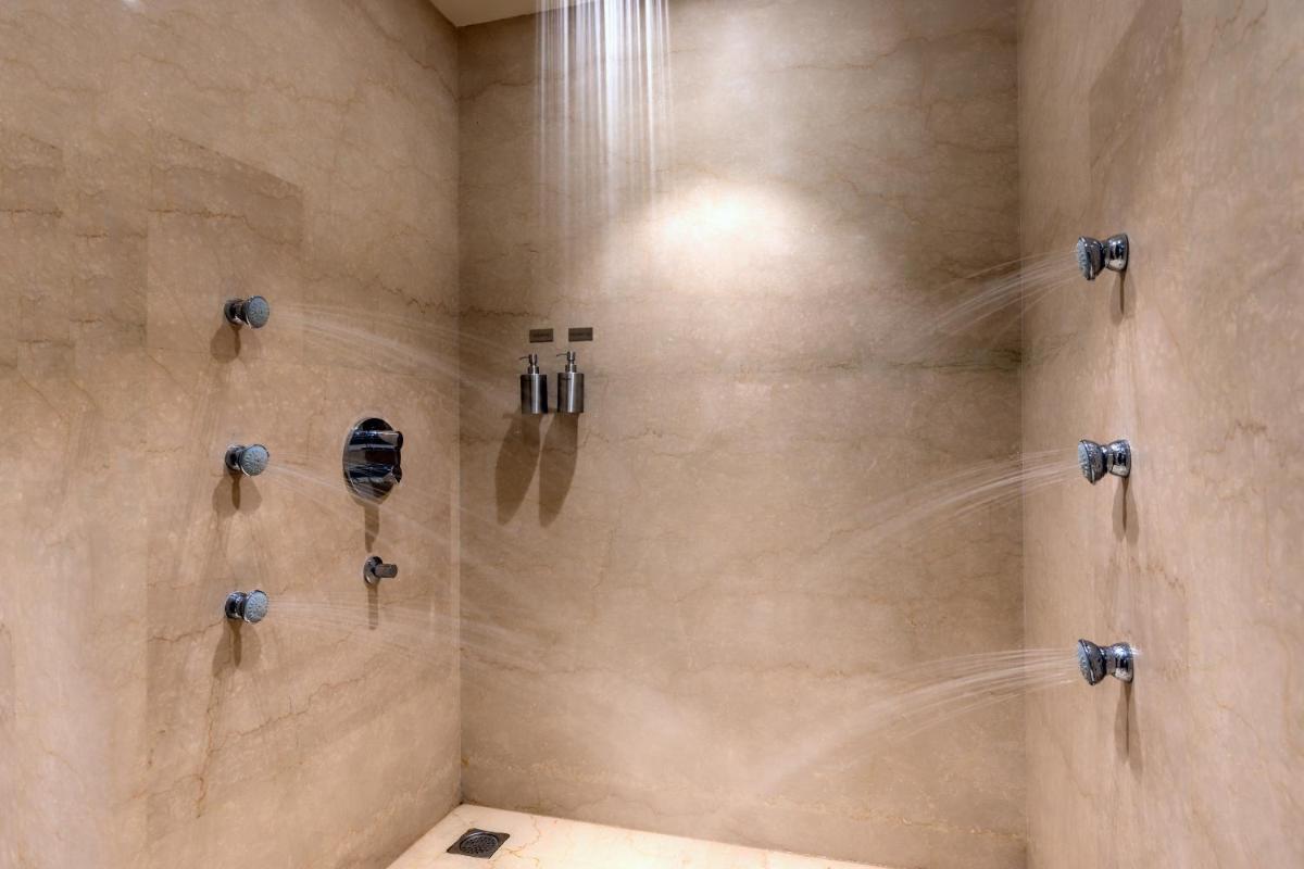 a shower in a bathroom with a shower at Feathers- A Radha Hotel, Chennai in Chennai
