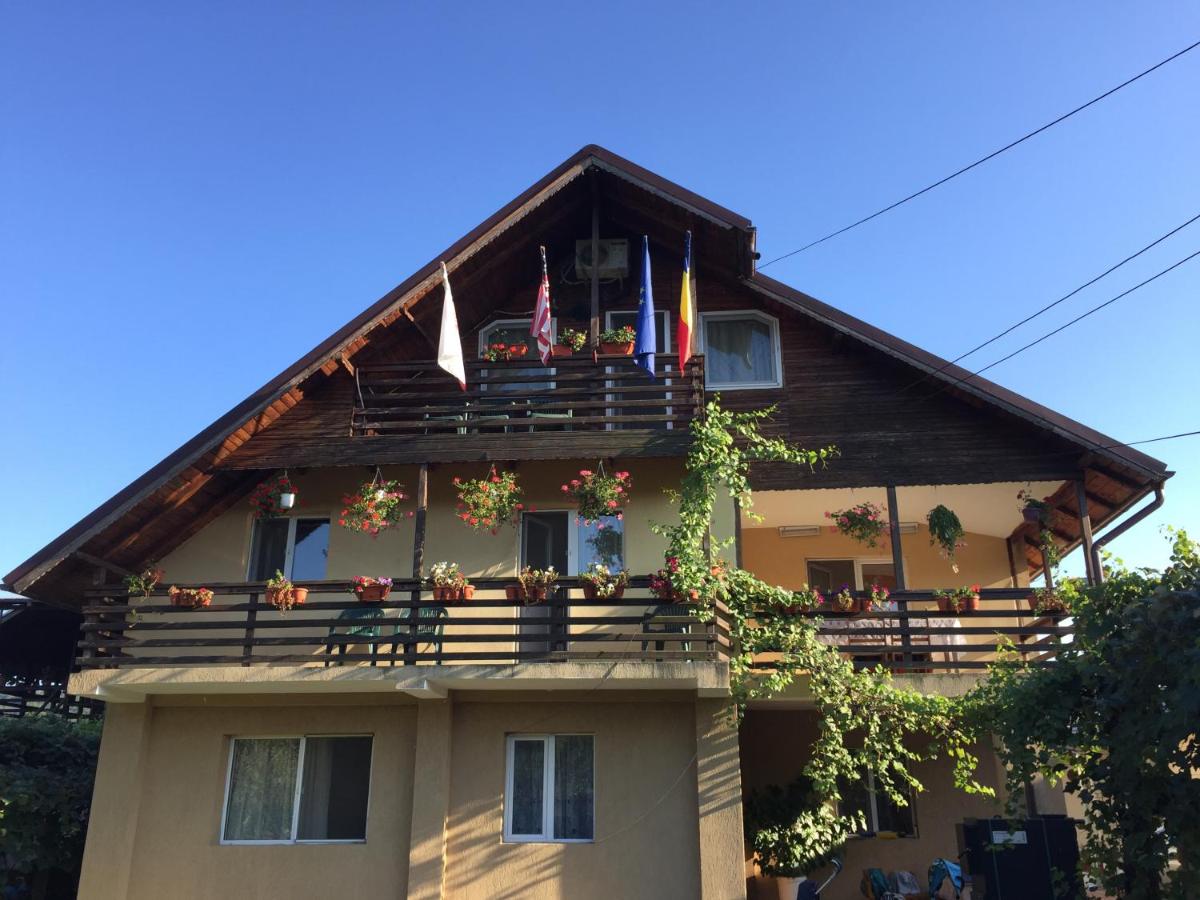 Pensiunea Ioana - Housity