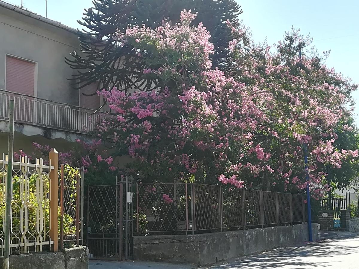 Defli House - Housity