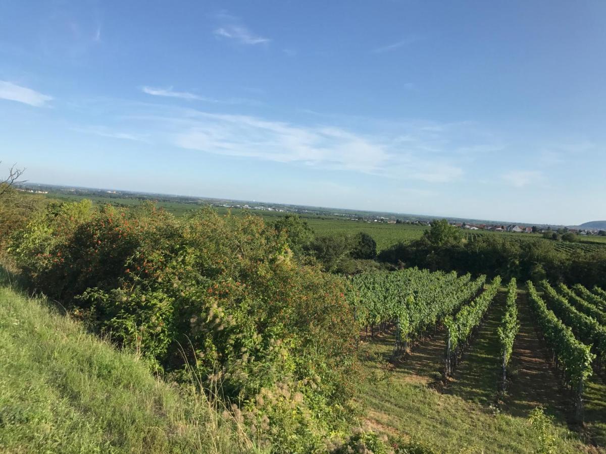 Landhotel Kallstadt - Housity