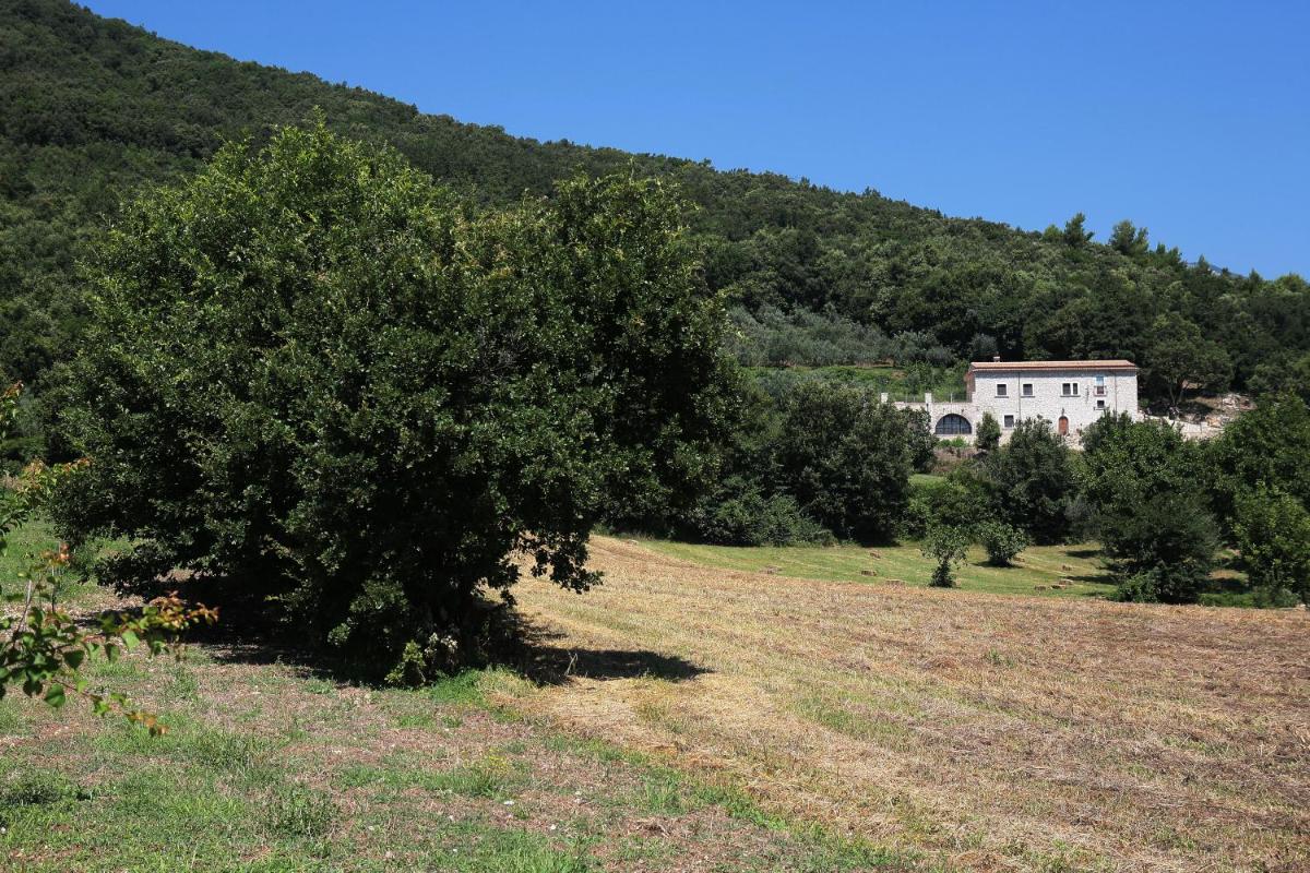 Antico Casolare Ceselenardi - Housity