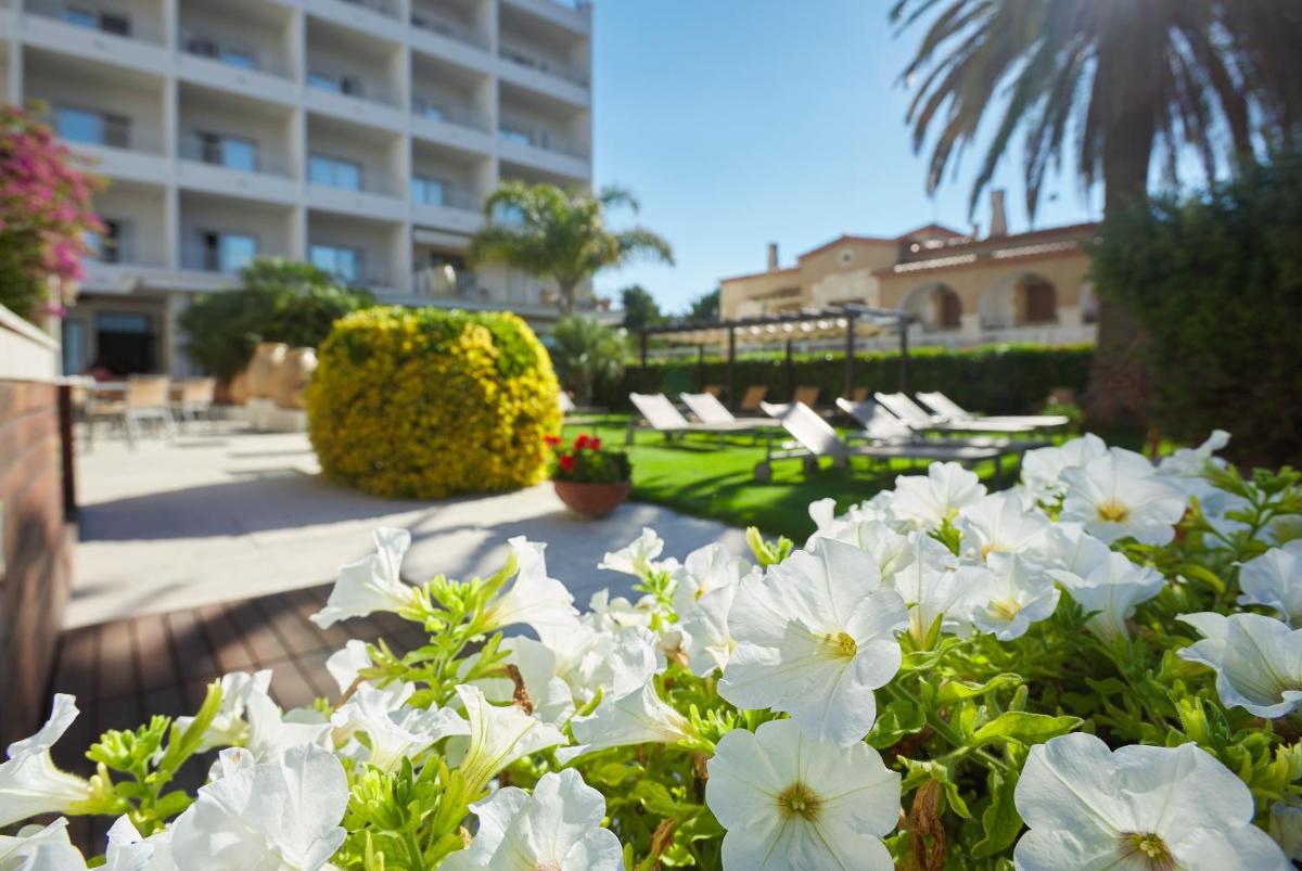 un grupo de flores blancas en un patio con un edificio en Hotel & Spa Terraza 4 Sup, en Roses