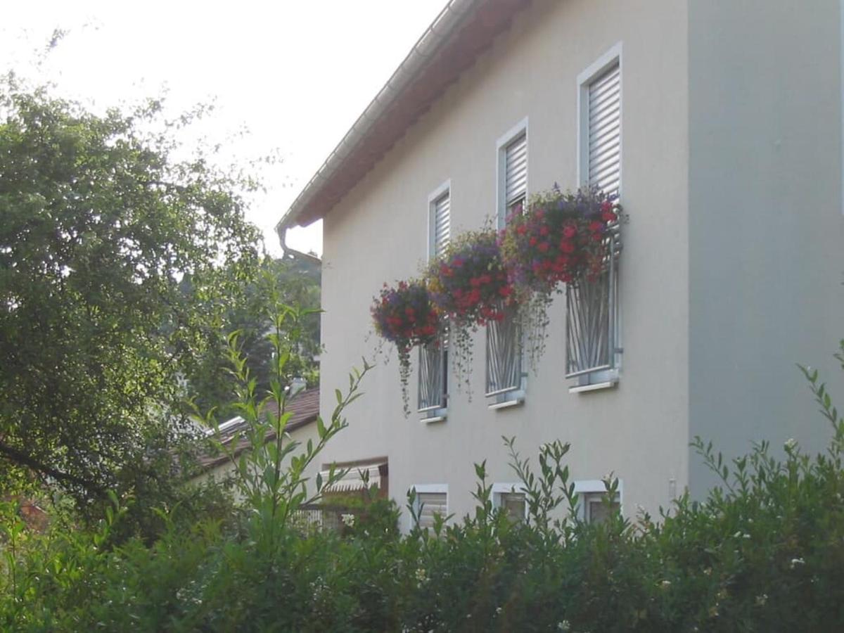 Ferienwohnung Im Grünen - Housity