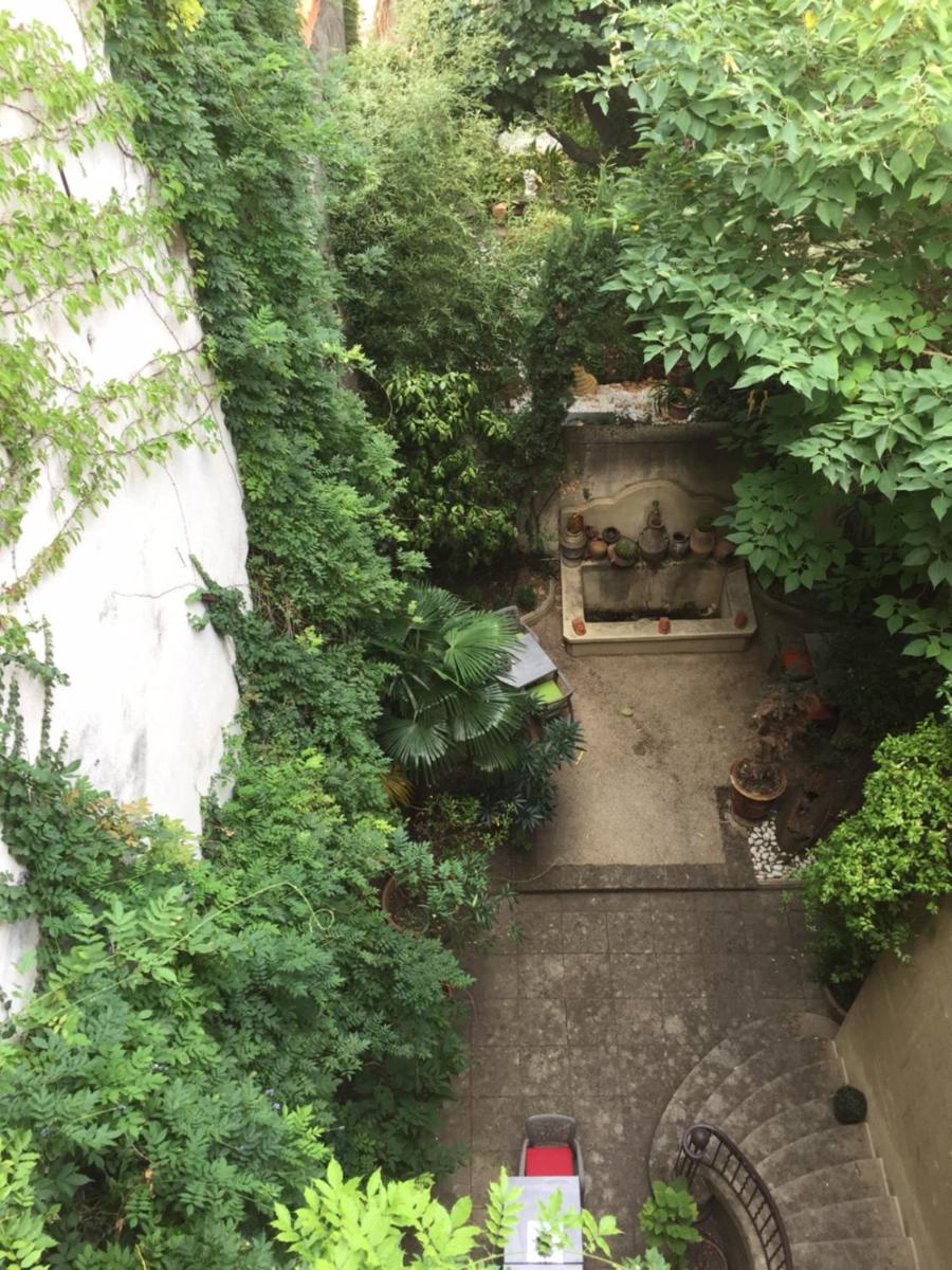 Jardin de l'établissement Hôtel Particulier Le 28 - Spa & Art Luxury Design by Alain Ducasse