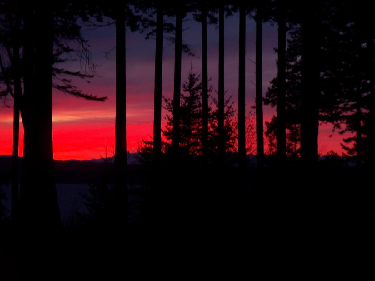 Malaspina Strait Cottage - Housity