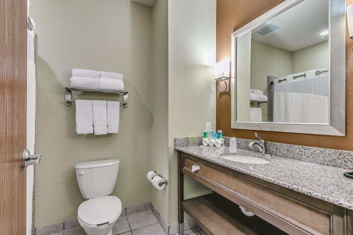 Holiday Inn Express & Suites Lubbock Southwest – Wolfforth by IHG - Housity